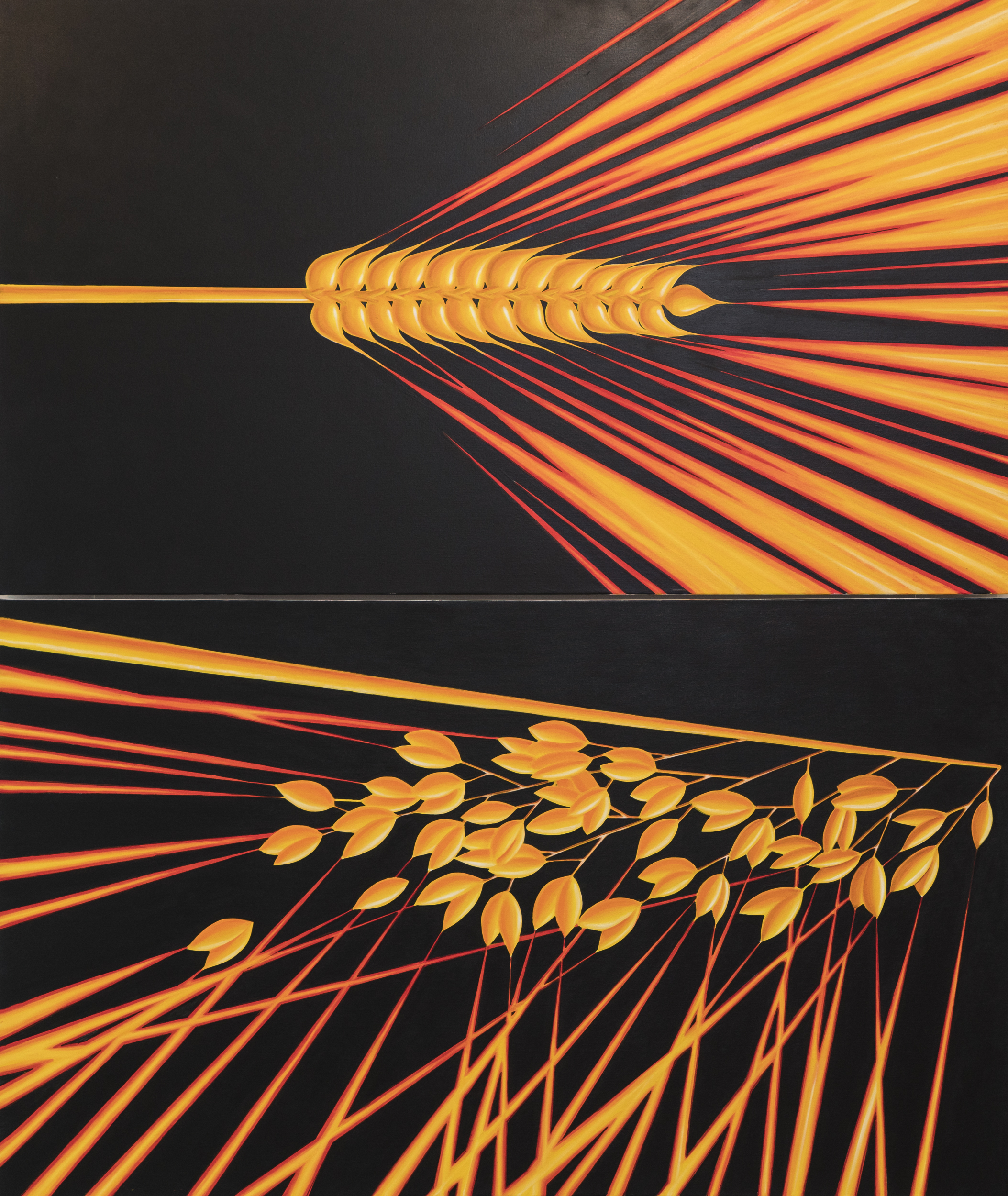 Vārpas