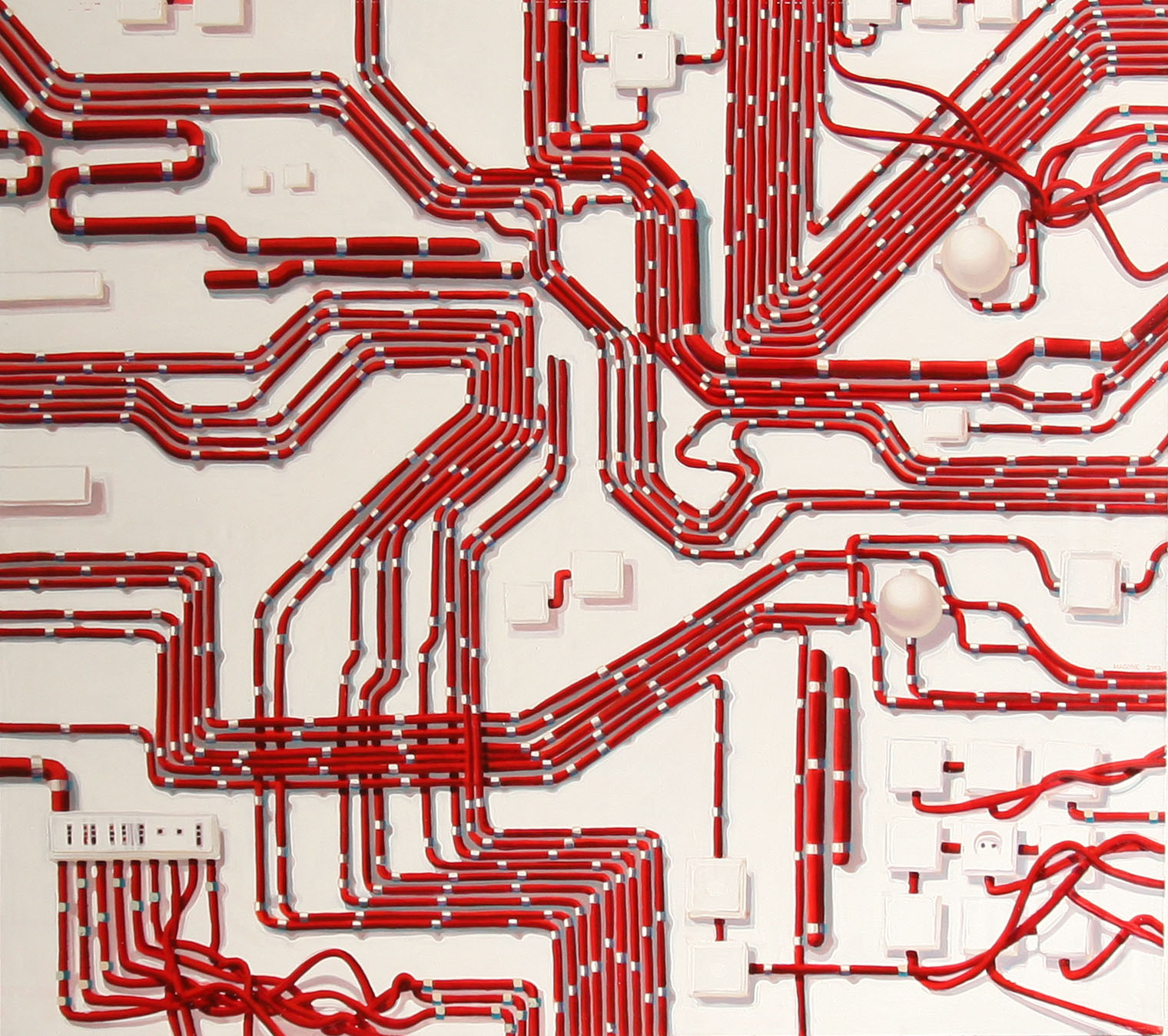 Circulatory System 1 of 3
