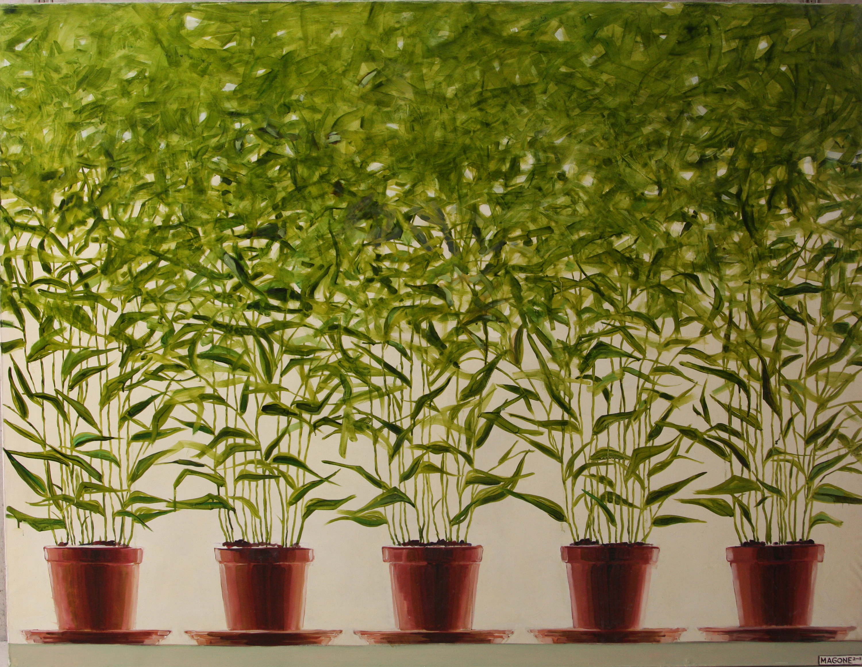 Bamboo