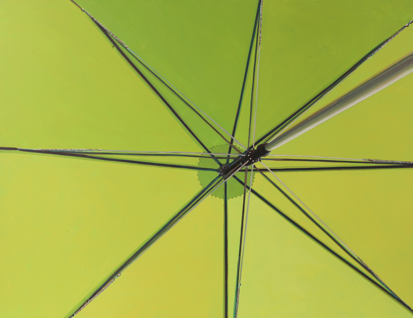 Umbrella